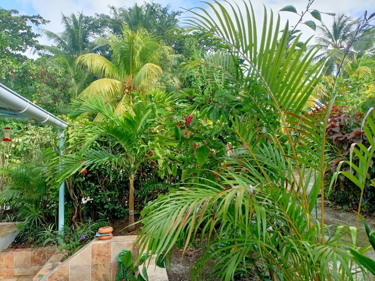 Villa Le Colibri Ble Sainte-Anne