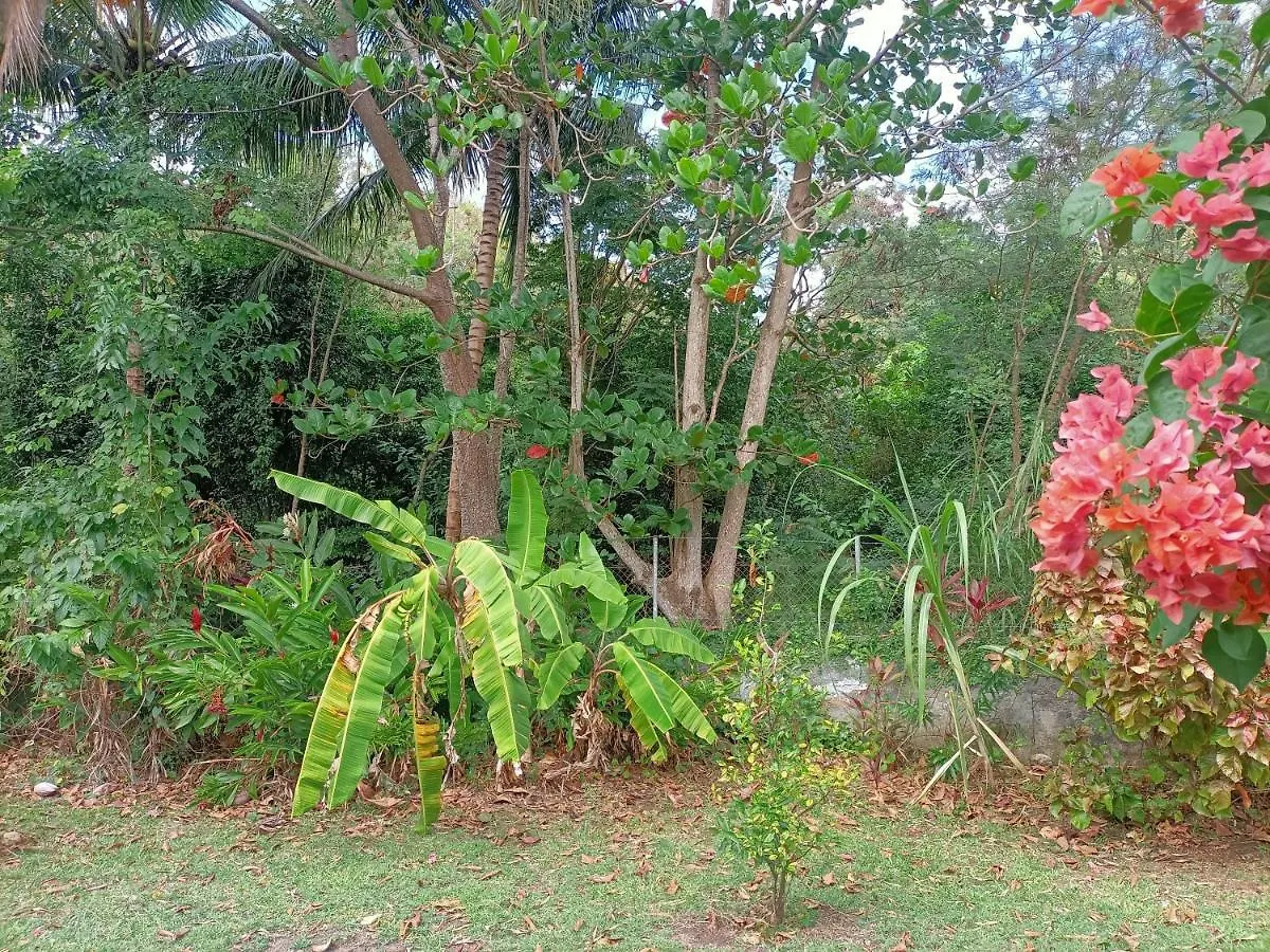 Le Colibri Ble Villa Sainte-Anne